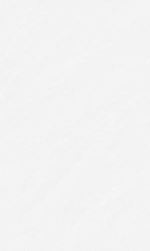 FP835T38-2-玛瑙白