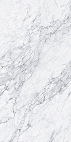 FP15721 意大利细花白