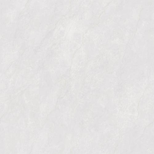 F80BP082 珊瑚玉岩