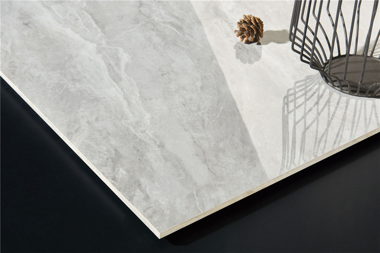 FTP8013-特写 (1).jpg