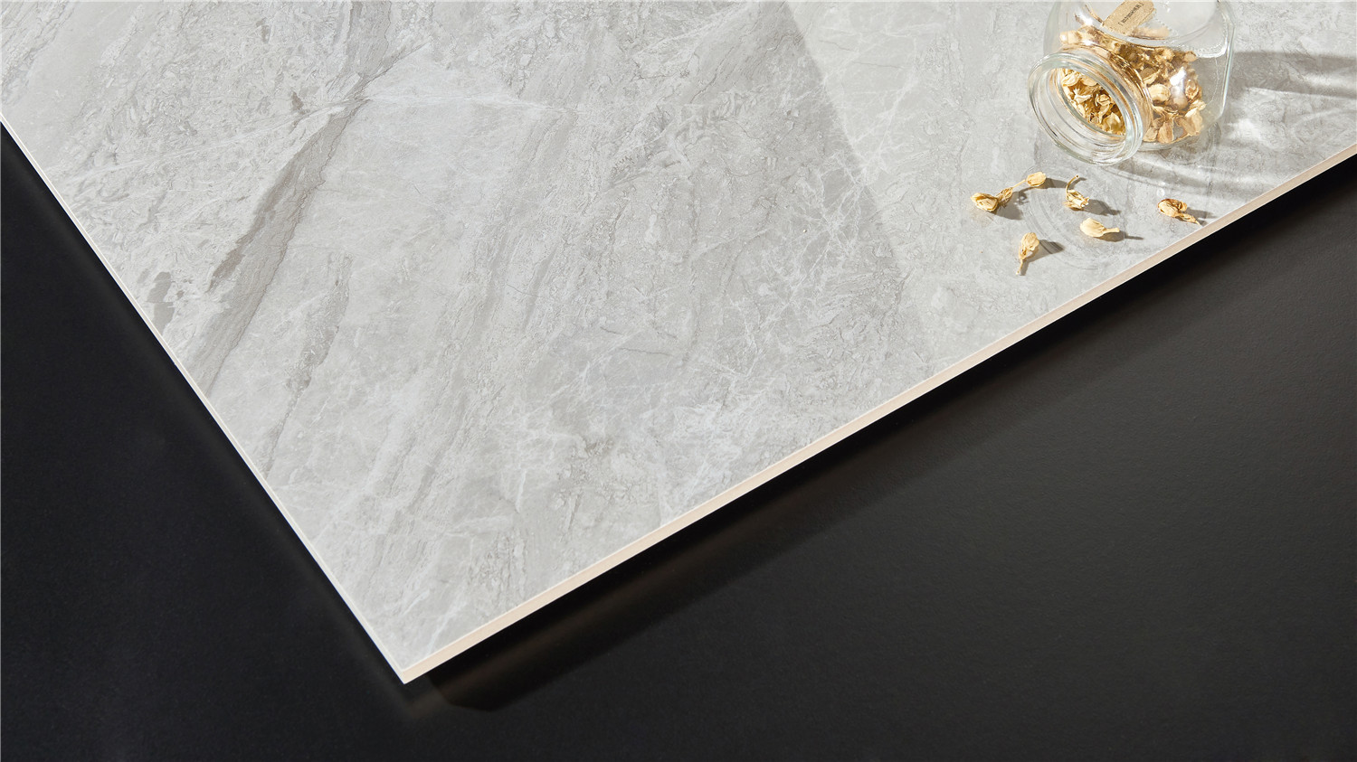 FP4833-特写 (3).jpg